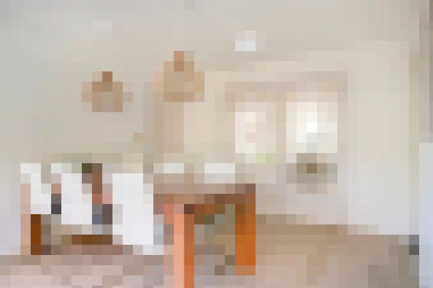 Den Hil 4 Sint Anthonis thumbnail 9
