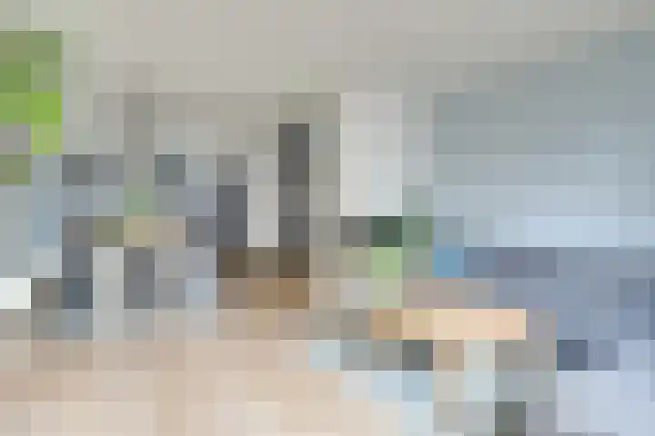 Den Hoeff 19 Ammerstol thumbnail 12