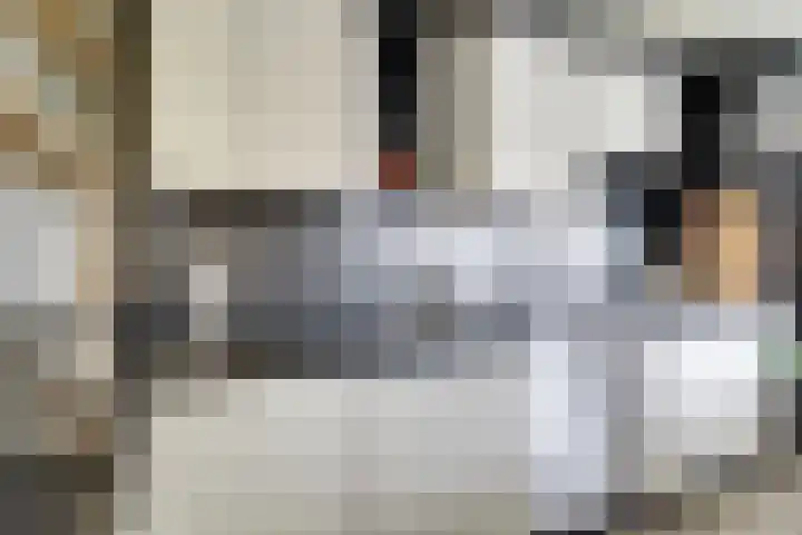 Den Hoeff 19 Ammerstol thumbnail 17
