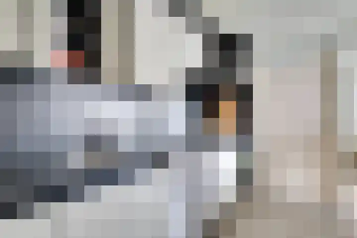 Den Hoeff 19 Ammerstol thumbnail 18