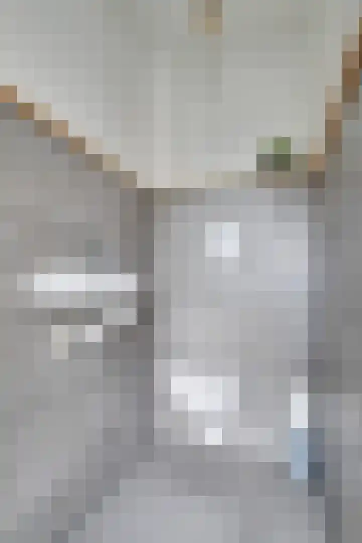 Den Hoeff 19 Ammerstol thumbnail 22