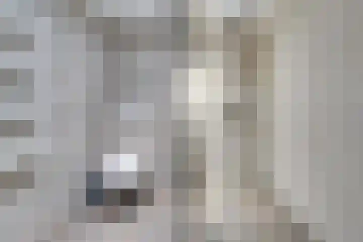 Den Hoeff 19 Ammerstol thumbnail 31