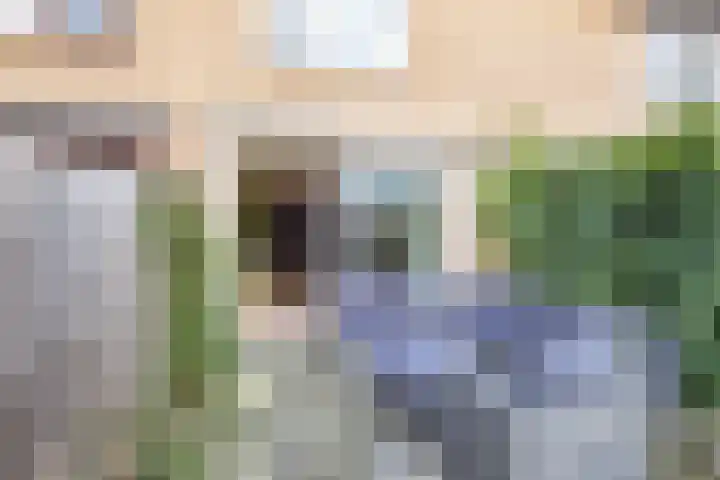 Den Hoeff 19 Ammerstol thumbnail 39