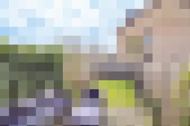 Den Hoeff 19 Ammerstol thumbnail 5