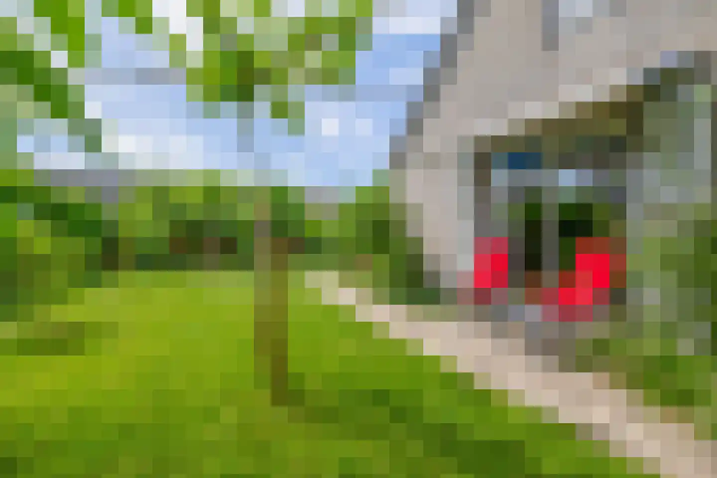 Den Hoeff 2 a Ammerstol thumbnail 21