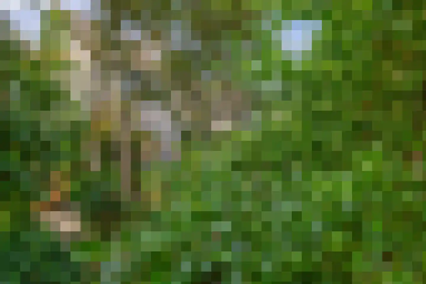 Den Hoeff 2 a Ammerstol thumbnail 22