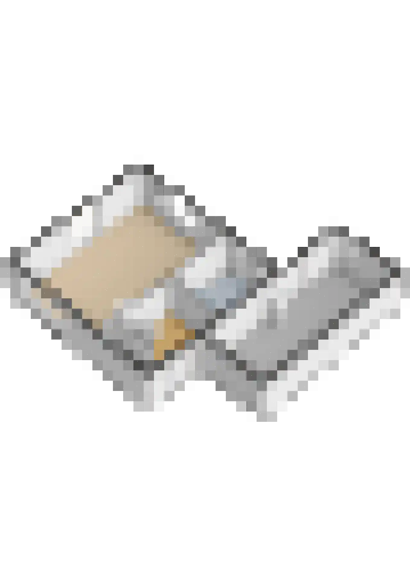 Den Hoeff 2 a Ammerstol thumbnail 31