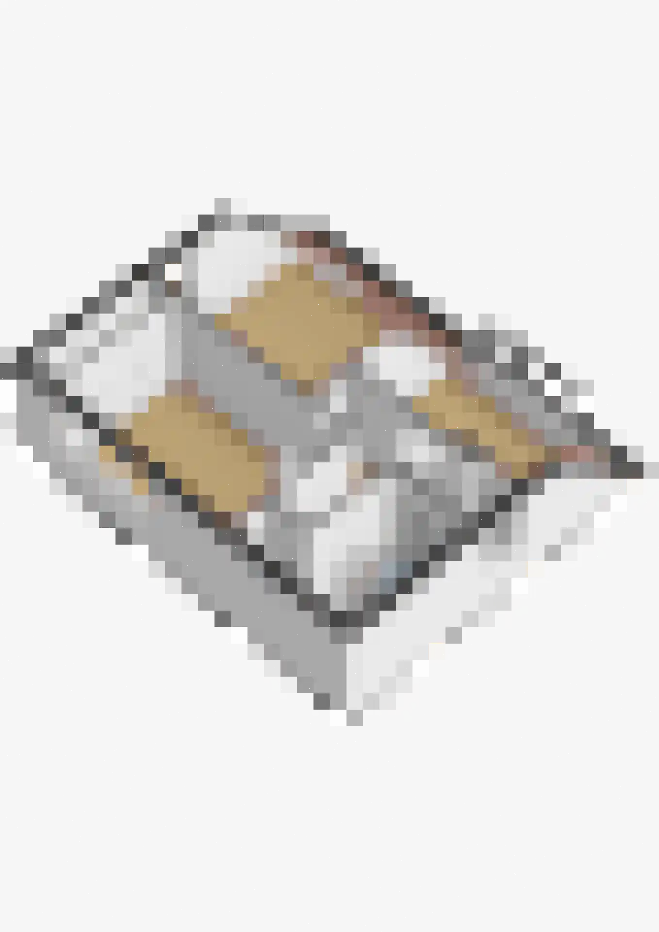 Den Hoeff 2 a Ammerstol thumbnail 35