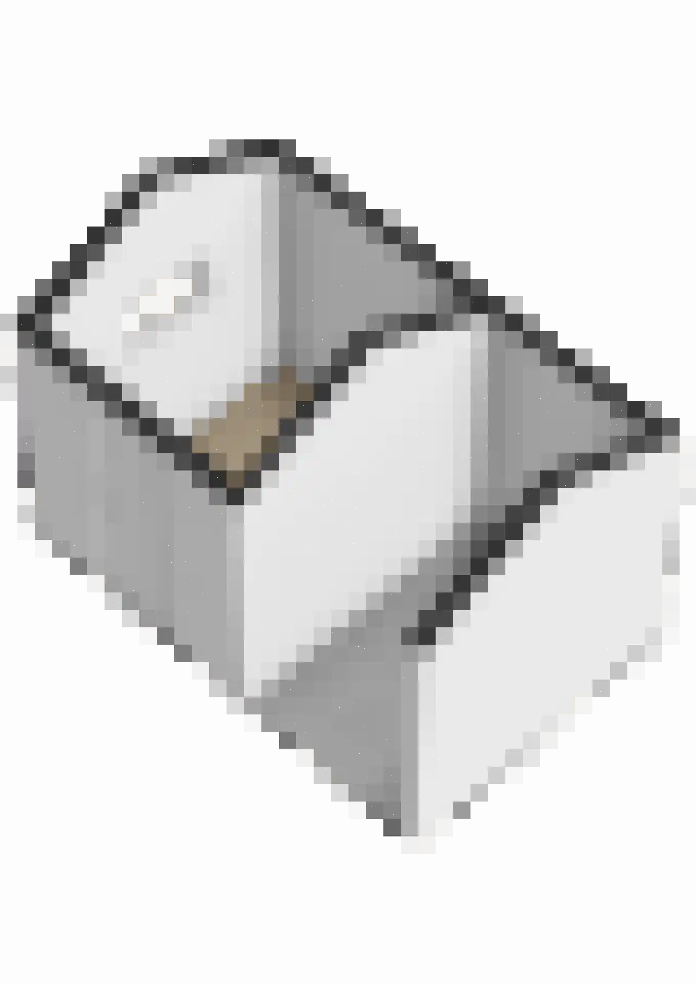 Den Hoeff 2 a Ammerstol thumbnail 39