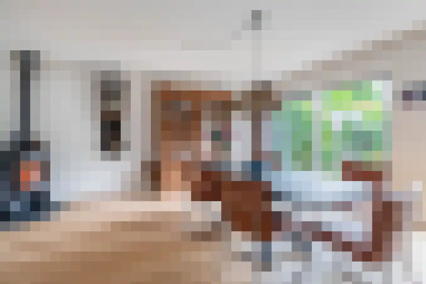 Den Hoeff 41 Ammerstol thumbnail 14