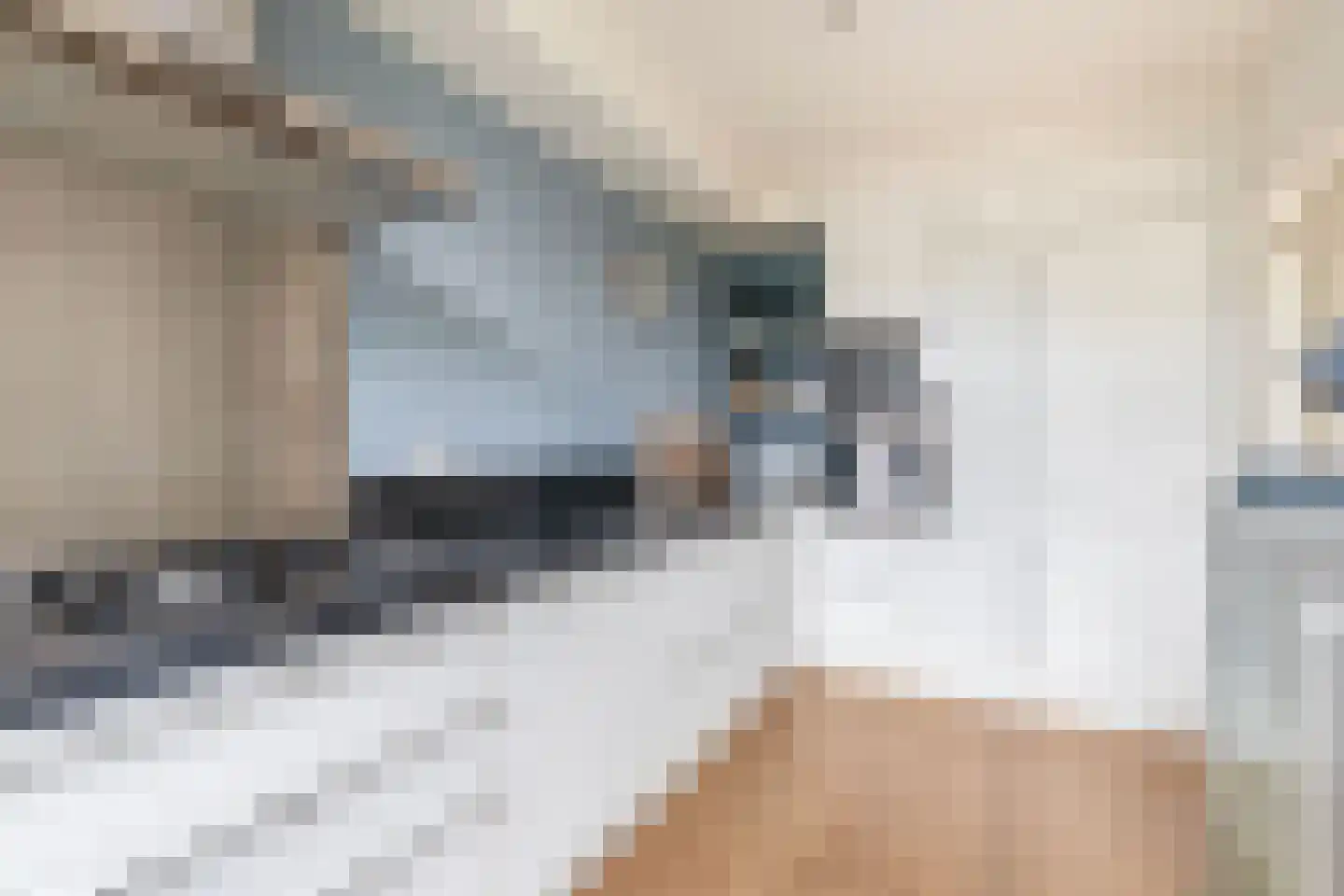 Den Hoeff 41 Ammerstol thumbnail 16