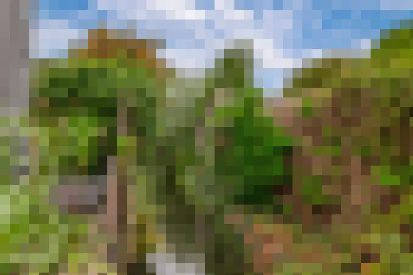 Den Hoeff 41 Ammerstol thumbnail 27