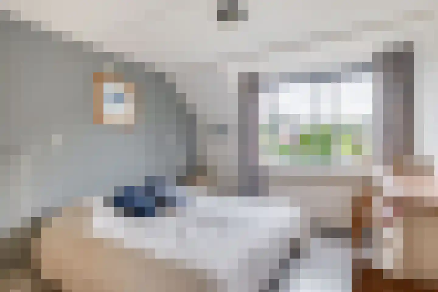 Den Hoeff 41 Ammerstol thumbnail 35
