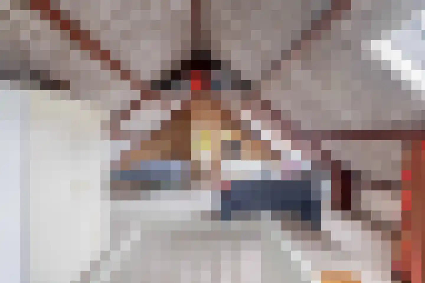 Den Hoeff 41 Ammerstol thumbnail 38