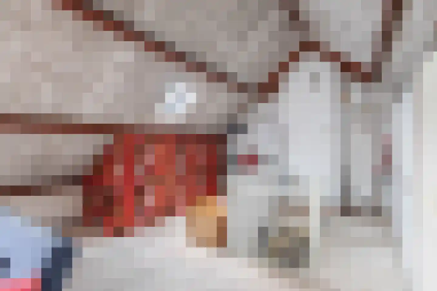 Den Hoeff 41 Ammerstol thumbnail 40