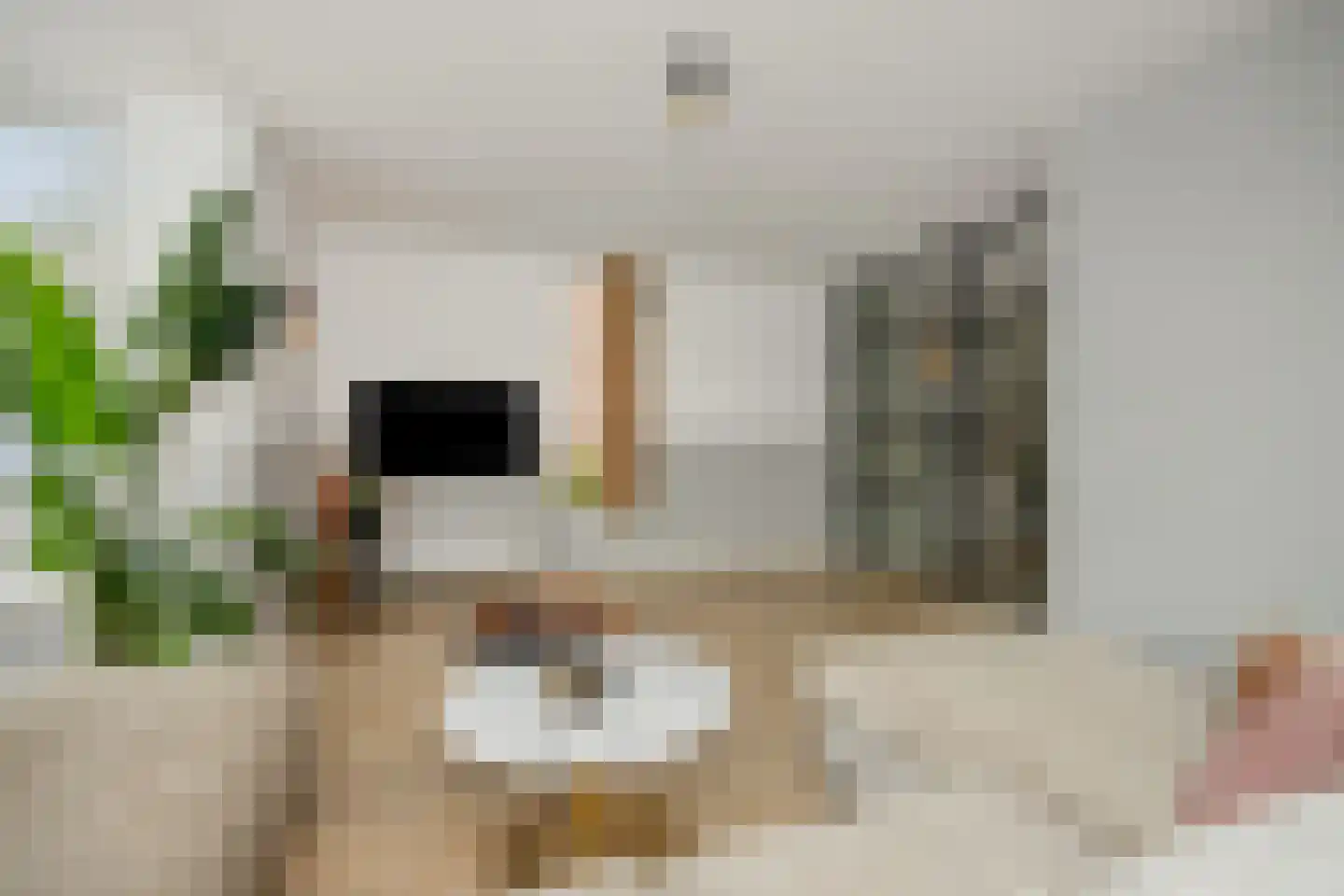 Den Hoek 13 Beek en Donk thumbnail 12