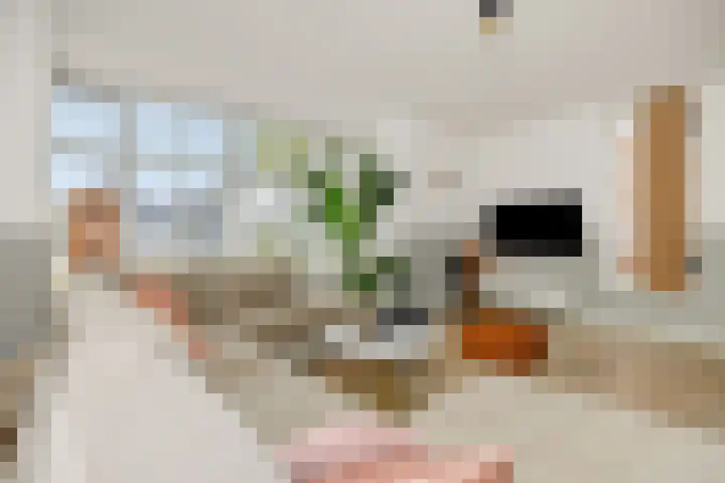 Den Hoek 13 Beek en Donk thumbnail 13