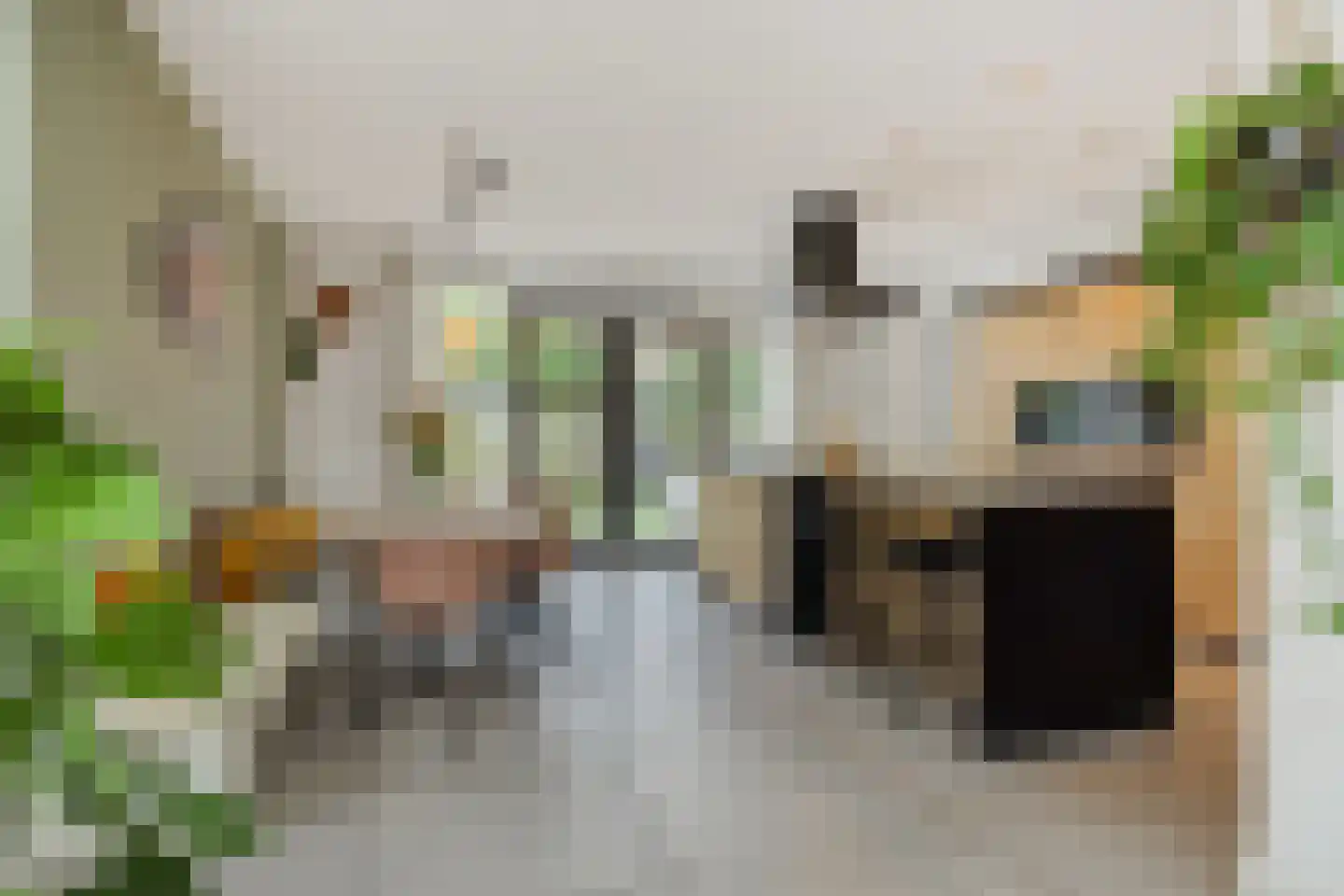 Den Hoek 13 Beek en Donk thumbnail 16