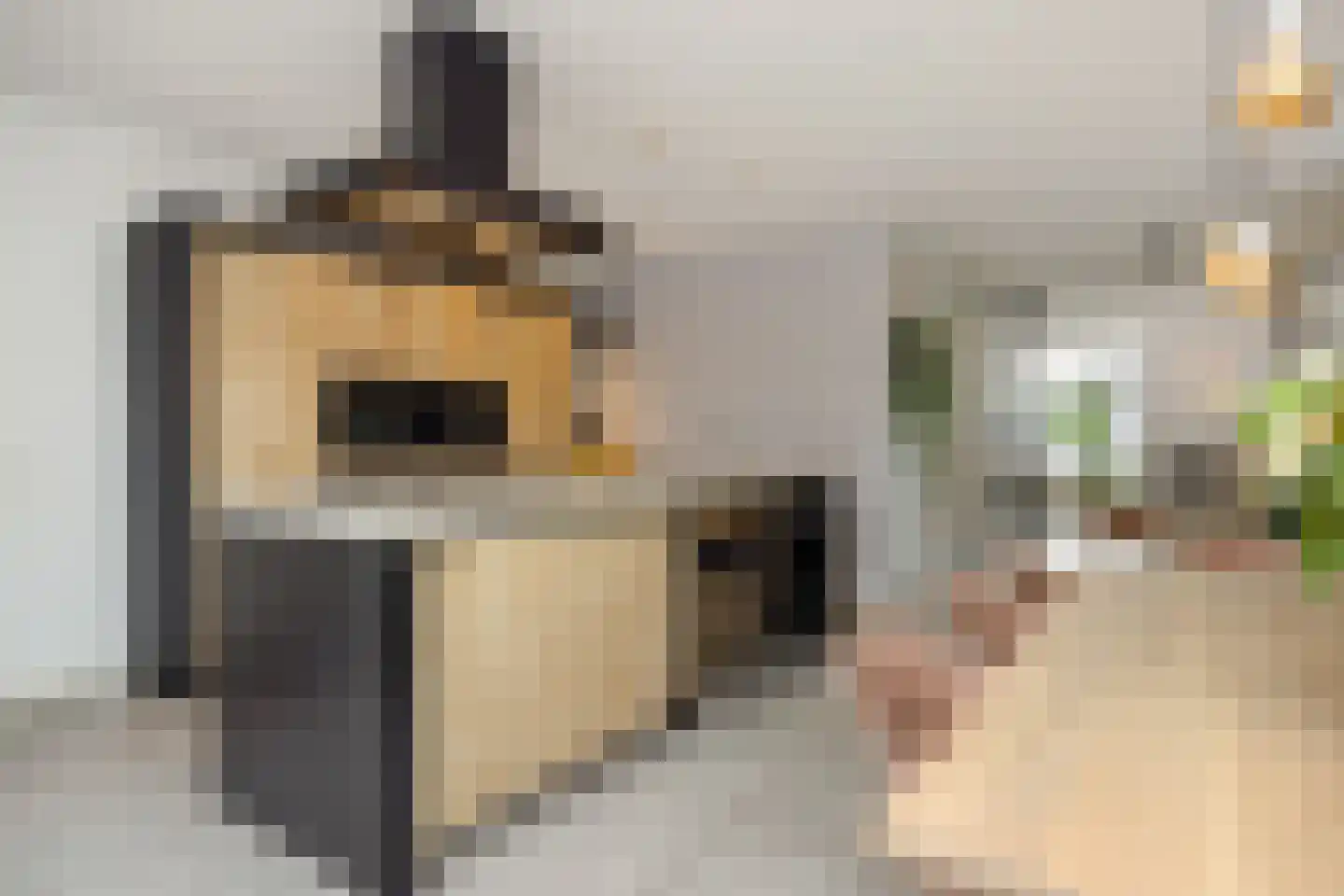 Den Hoek 13 Beek en Donk thumbnail 18