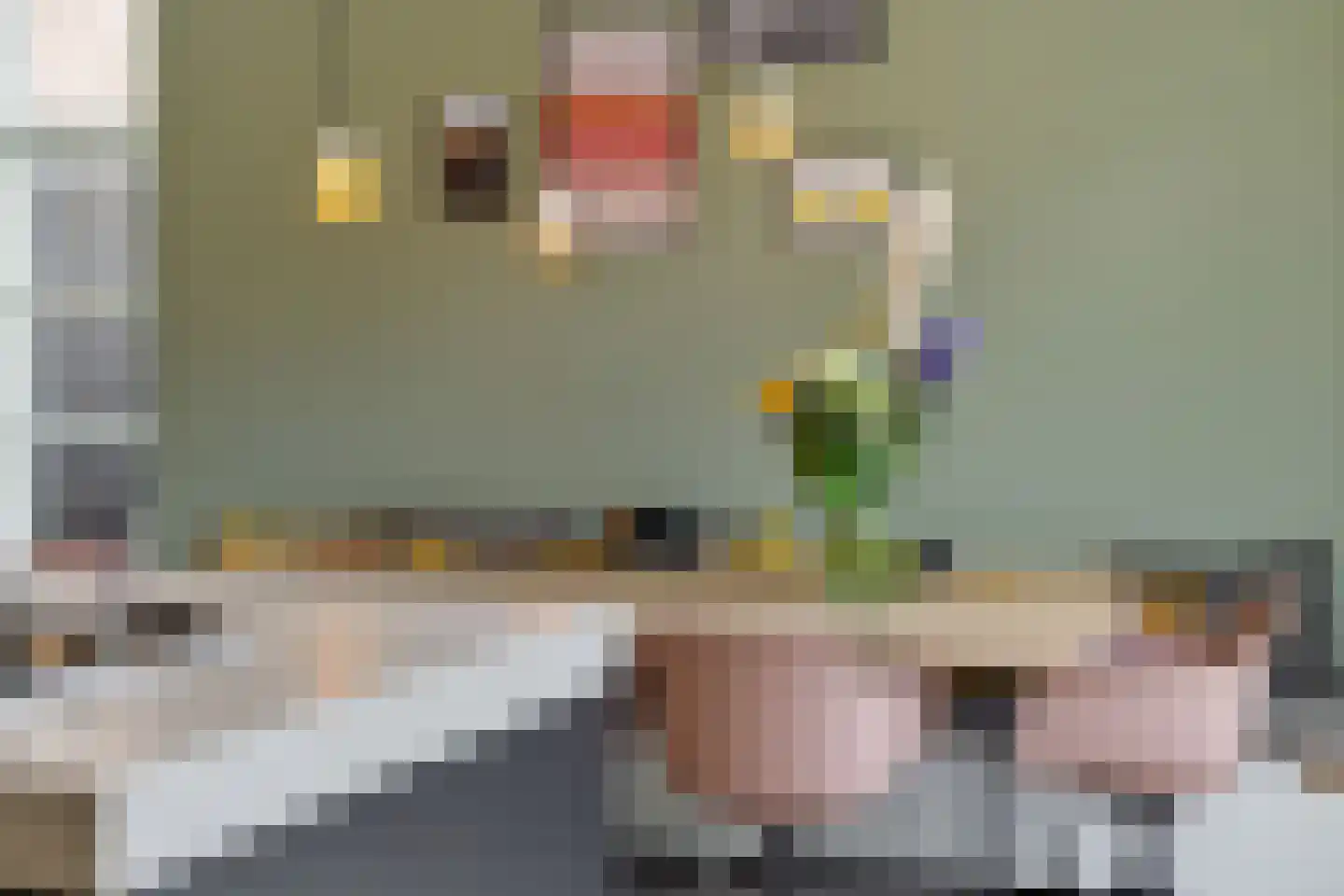 Den Hoek 13 Beek en Donk thumbnail 23