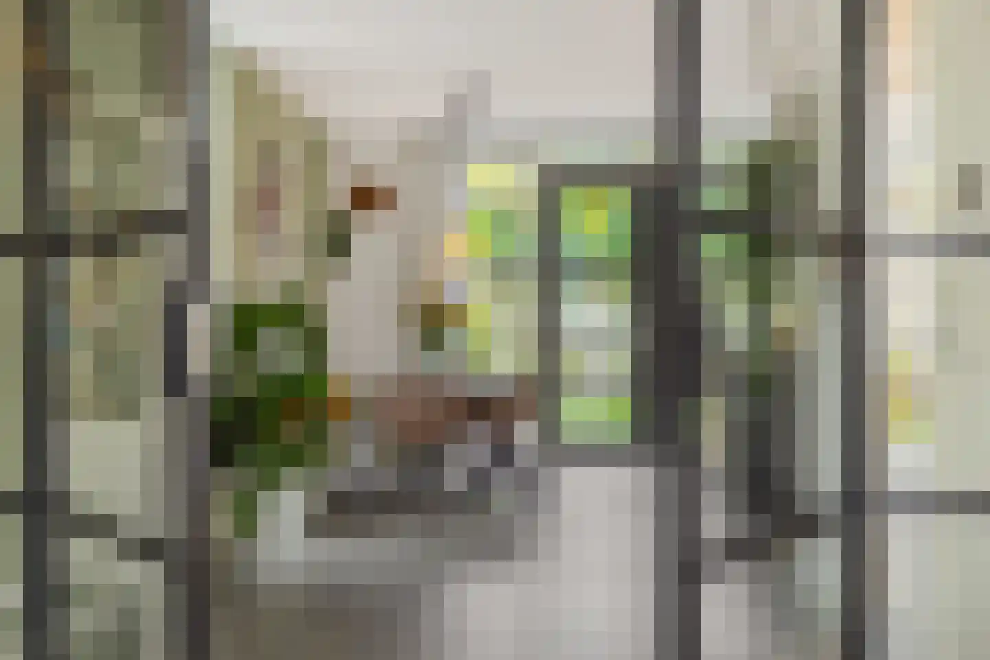 Den Hoek 13 Beek en Donk thumbnail 26