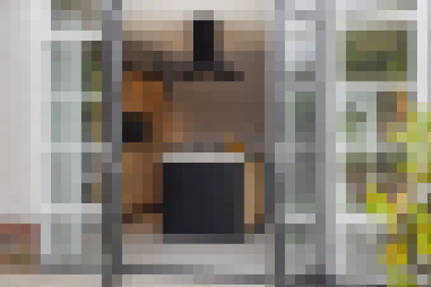 Den Hoek 13 Beek en Donk thumbnail 27
