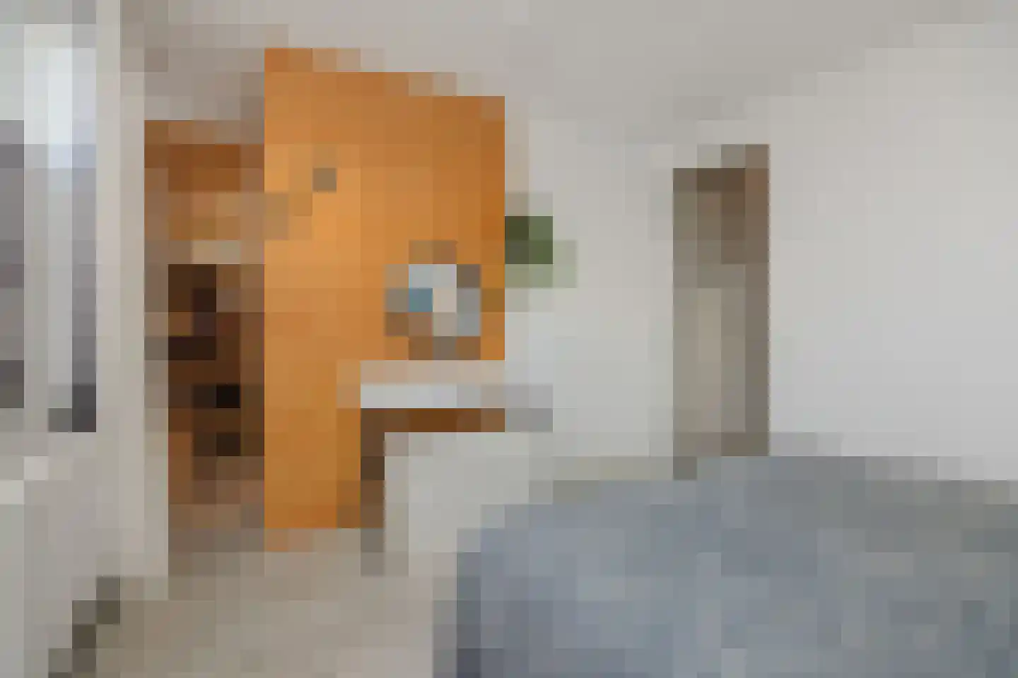 Den Hoek 13 Beek en Donk thumbnail 35