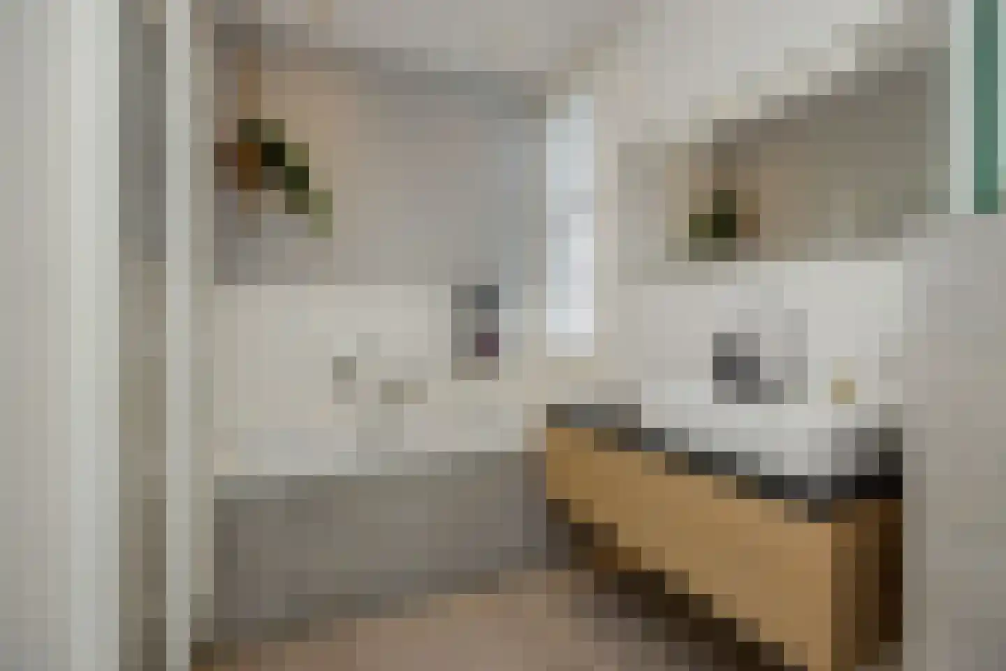 Den Hoek 13 Beek en Donk thumbnail 39