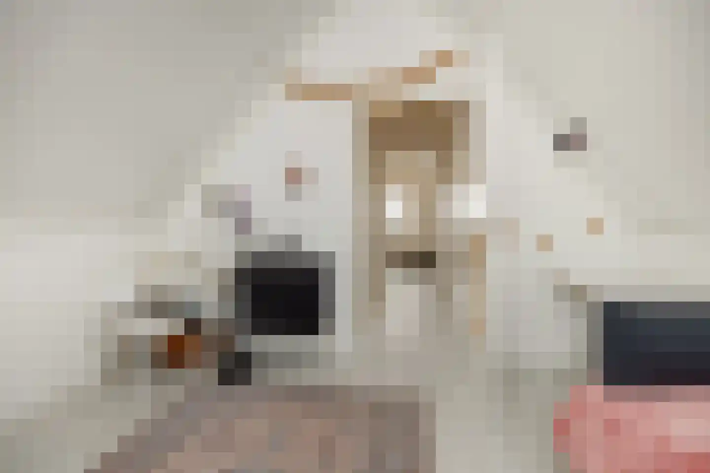 Den Hoek 13 Beek en Donk thumbnail 43