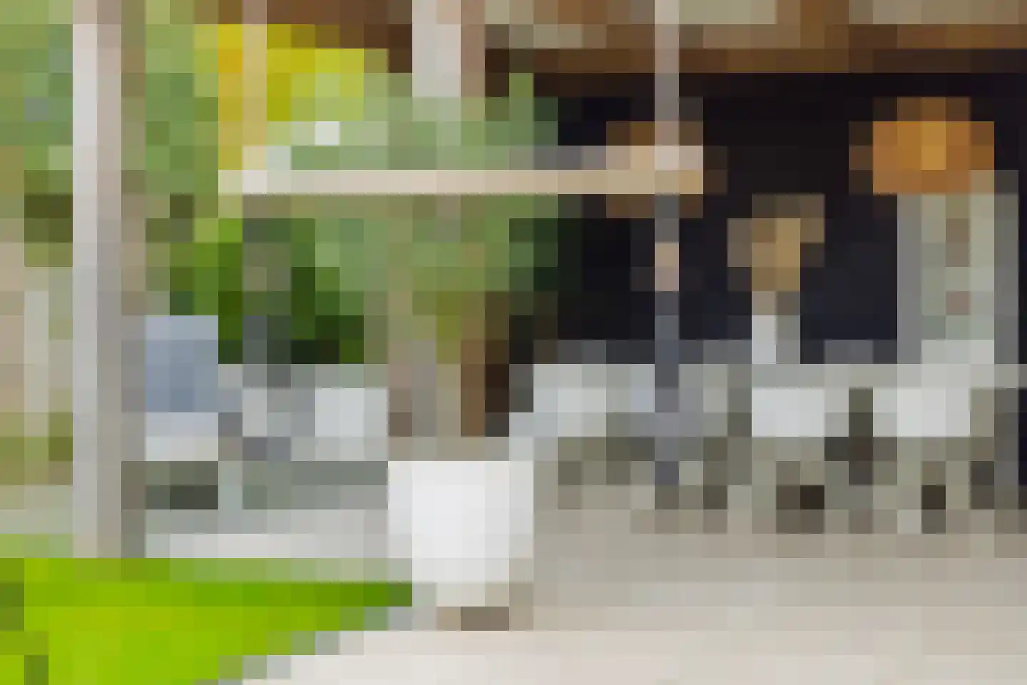 Den Hoek 13 Beek en Donk thumbnail 51