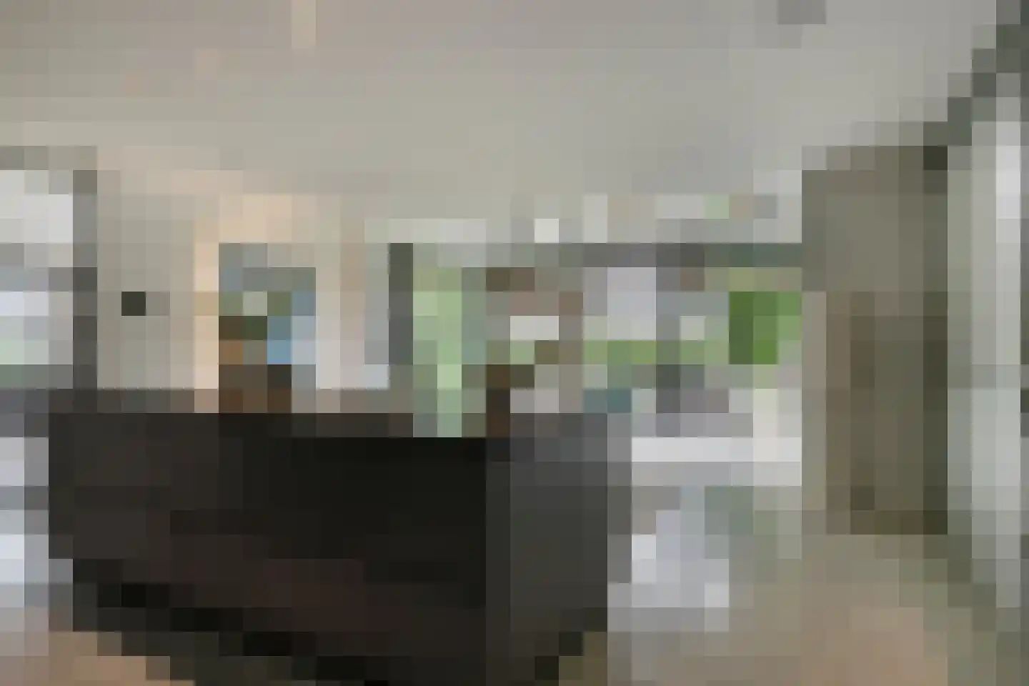 Den Hoek 17 Beek en Donk thumbnail 17