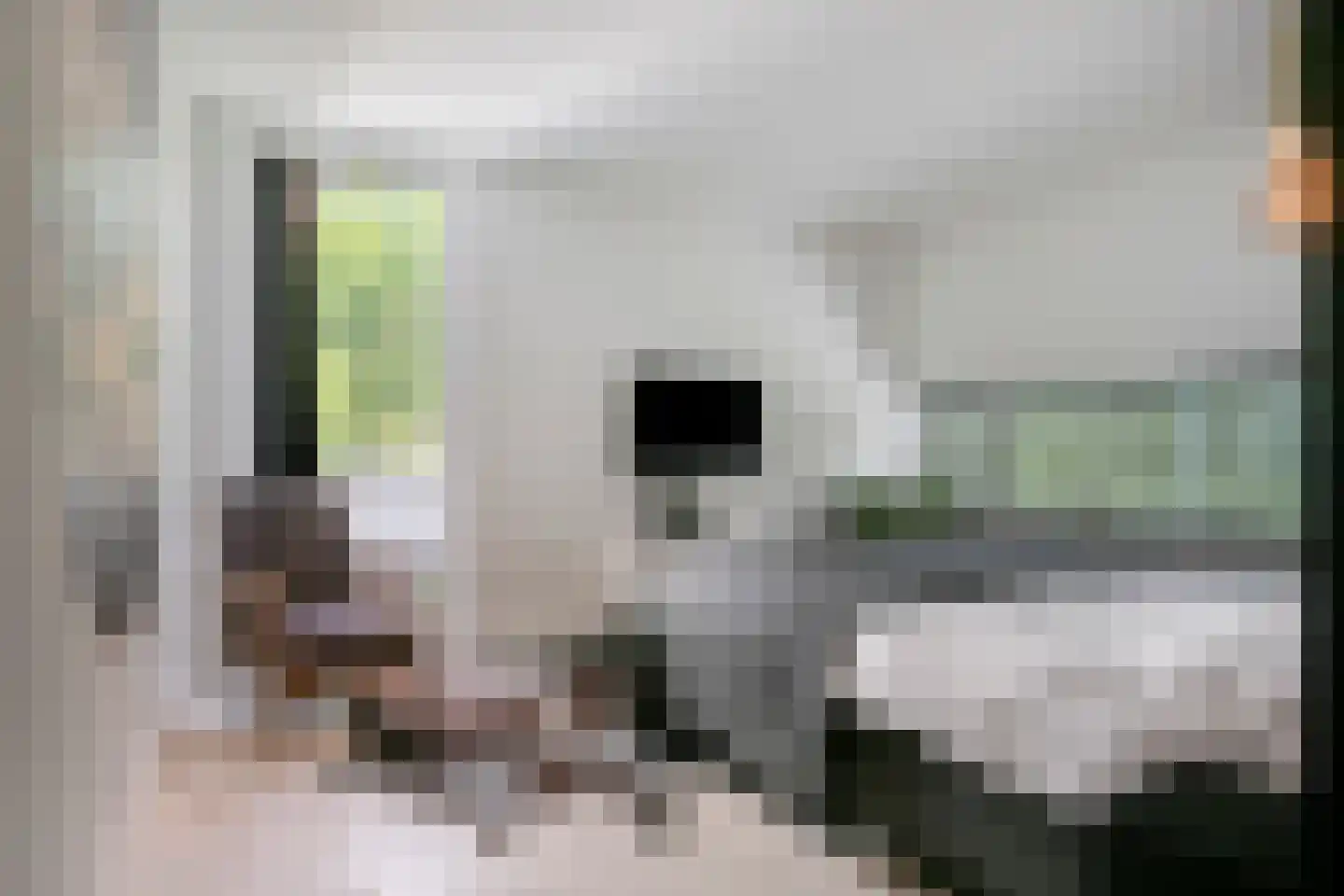 Den Hoek 17 Beek en Donk thumbnail 24