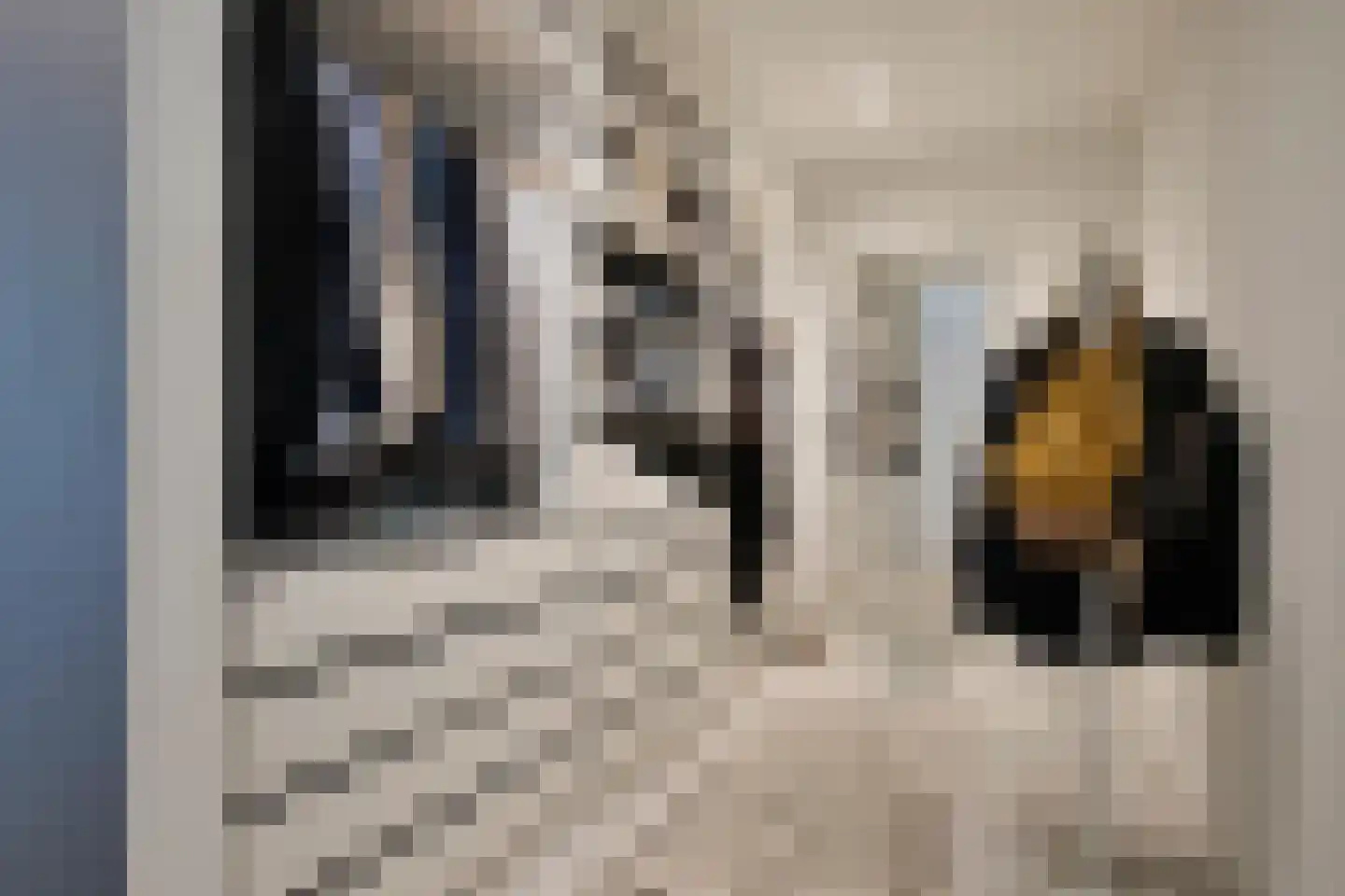 Den Hoek 17 Beek en Donk thumbnail 26