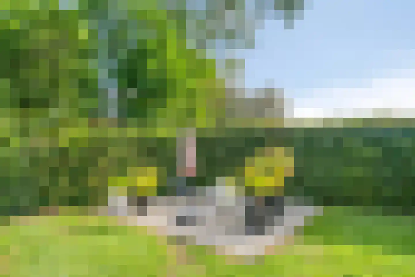 Den Hoek 17 Beek en Donk thumbnail 34
