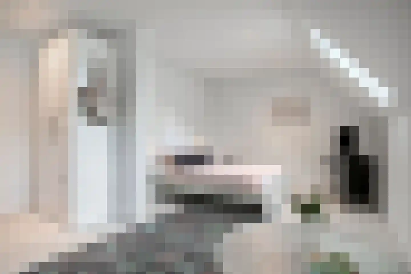Den Hoek 17 Beek en Donk thumbnail 44