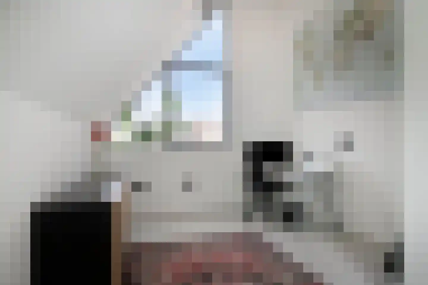 Den Hoek 17 Beek en Donk thumbnail 46