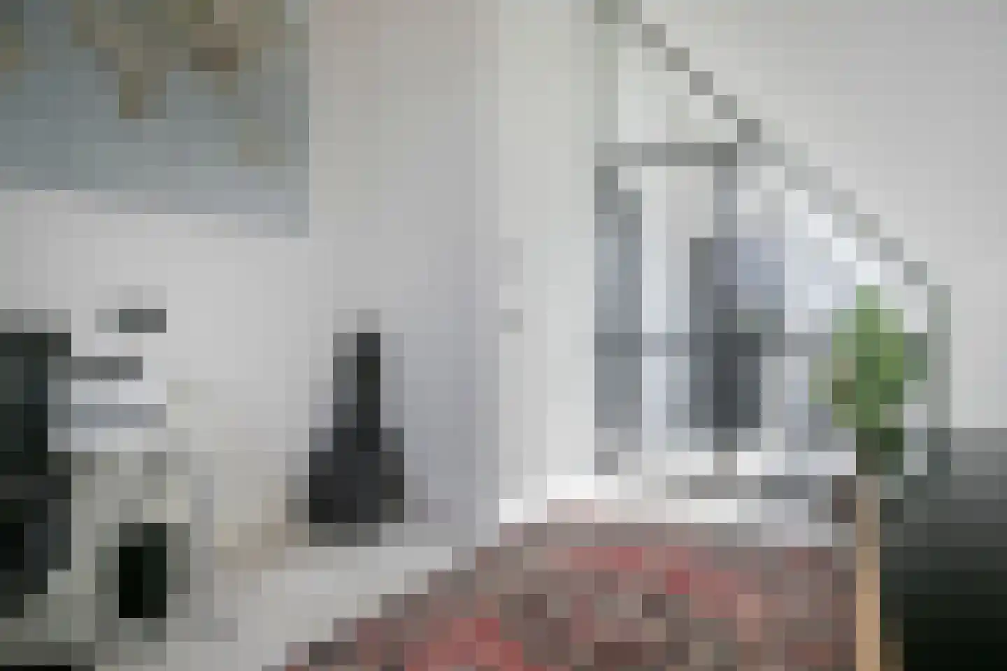 Den Hoek 17 Beek en Donk thumbnail 47