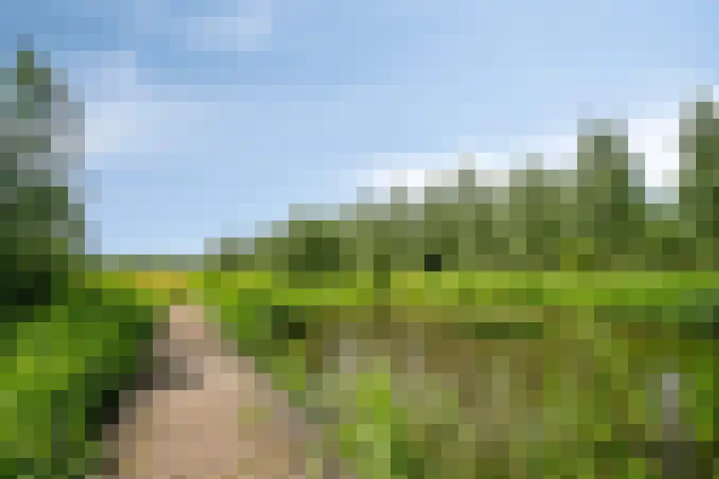 Den Hoek 17 Beek en Donk thumbnail 50
