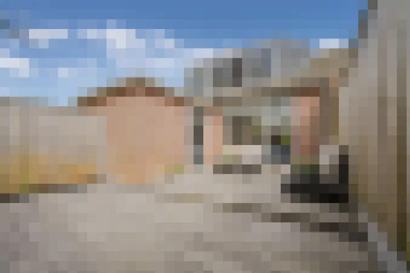 Den Hoek 19 Hekelingen thumbnail 19