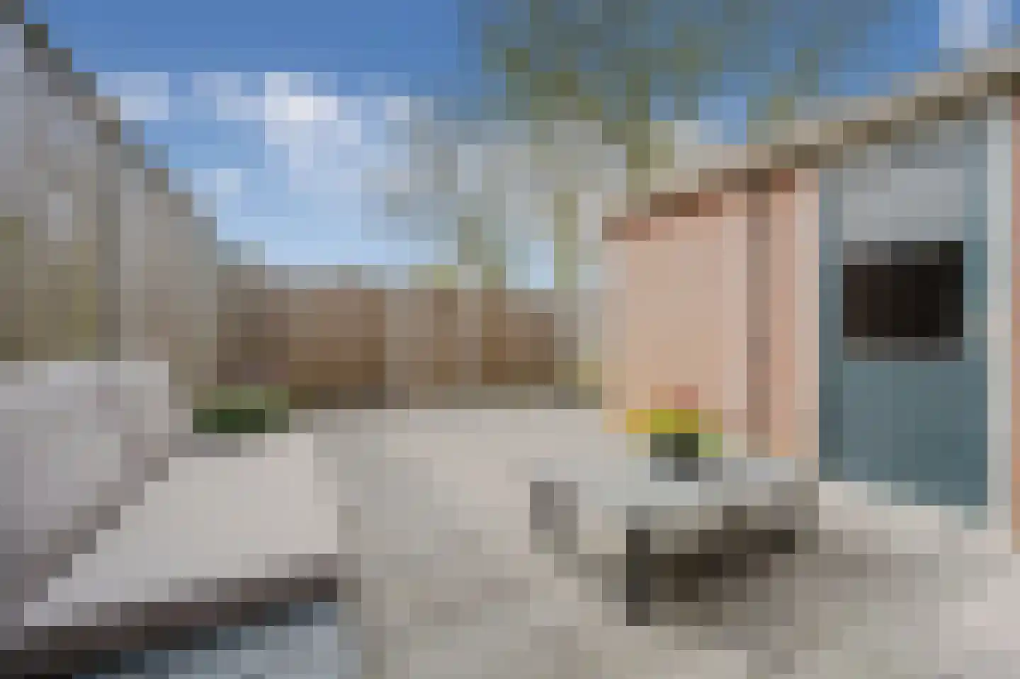 Den Hoek 19 Hekelingen thumbnail 20