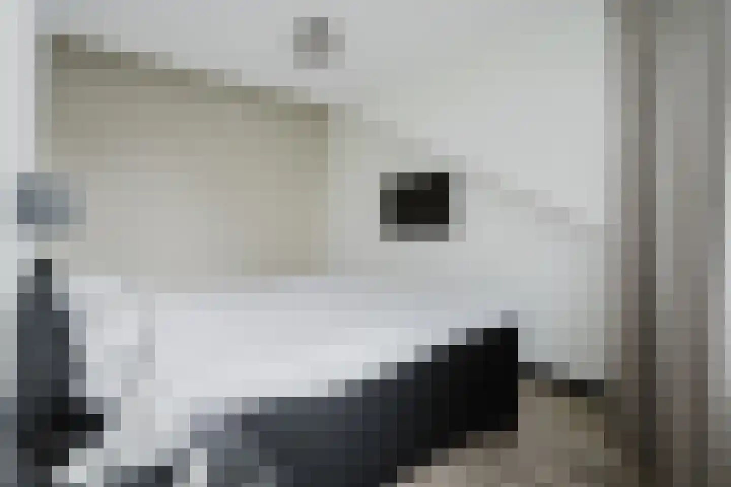 Den Hoek 19 Hekelingen thumbnail 25