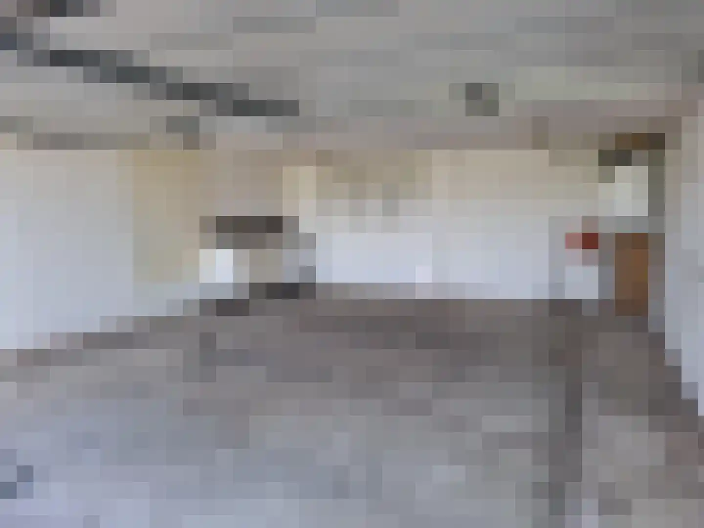 Den Hoek 21 Hekelingen thumbnail 13