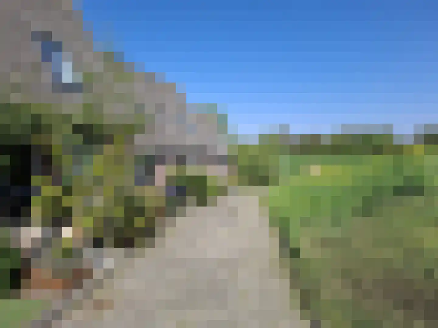 Den Hoek 21 Hekelingen thumbnail 15
