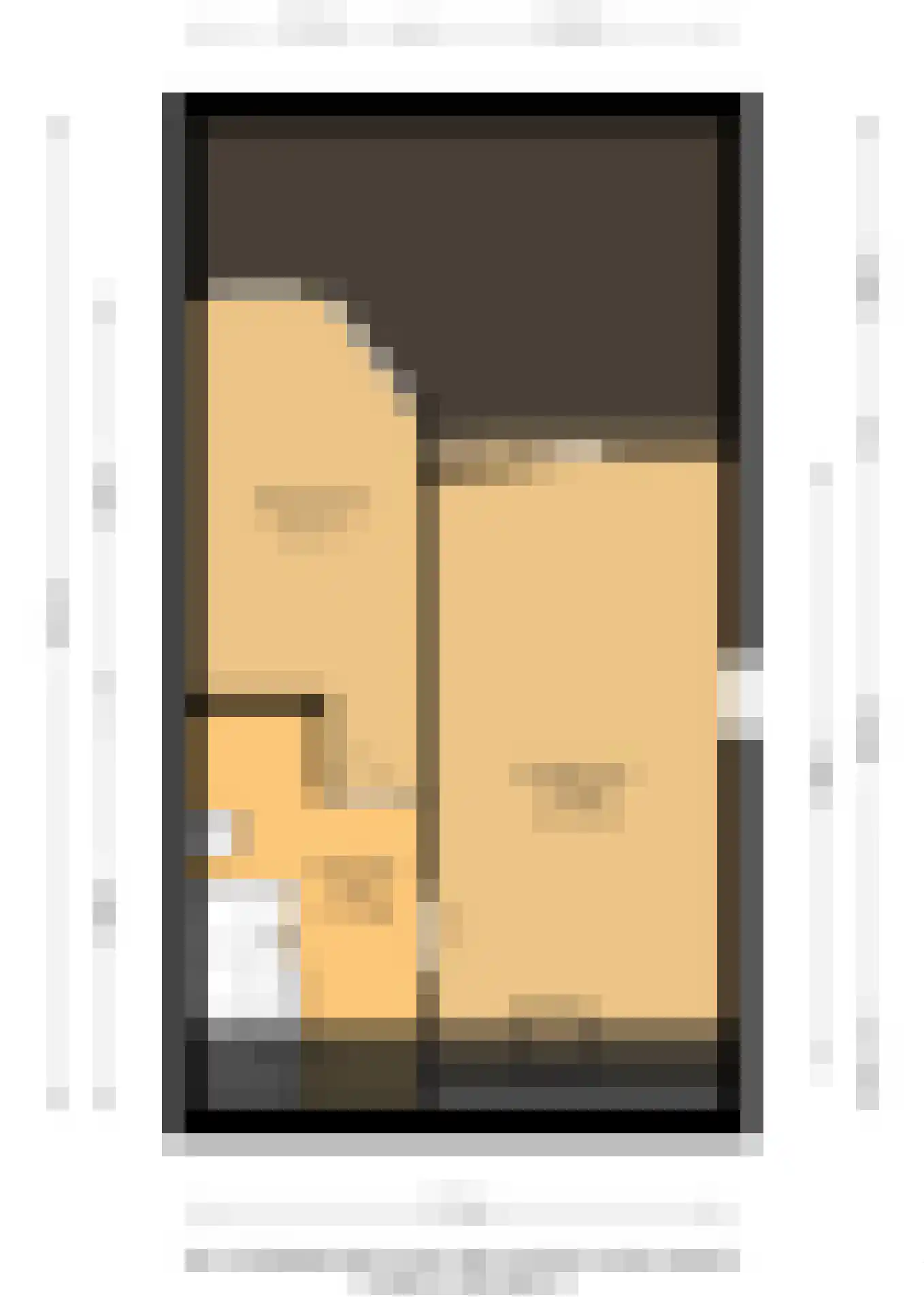 Den Hoek 21 Hekelingen thumbnail 17