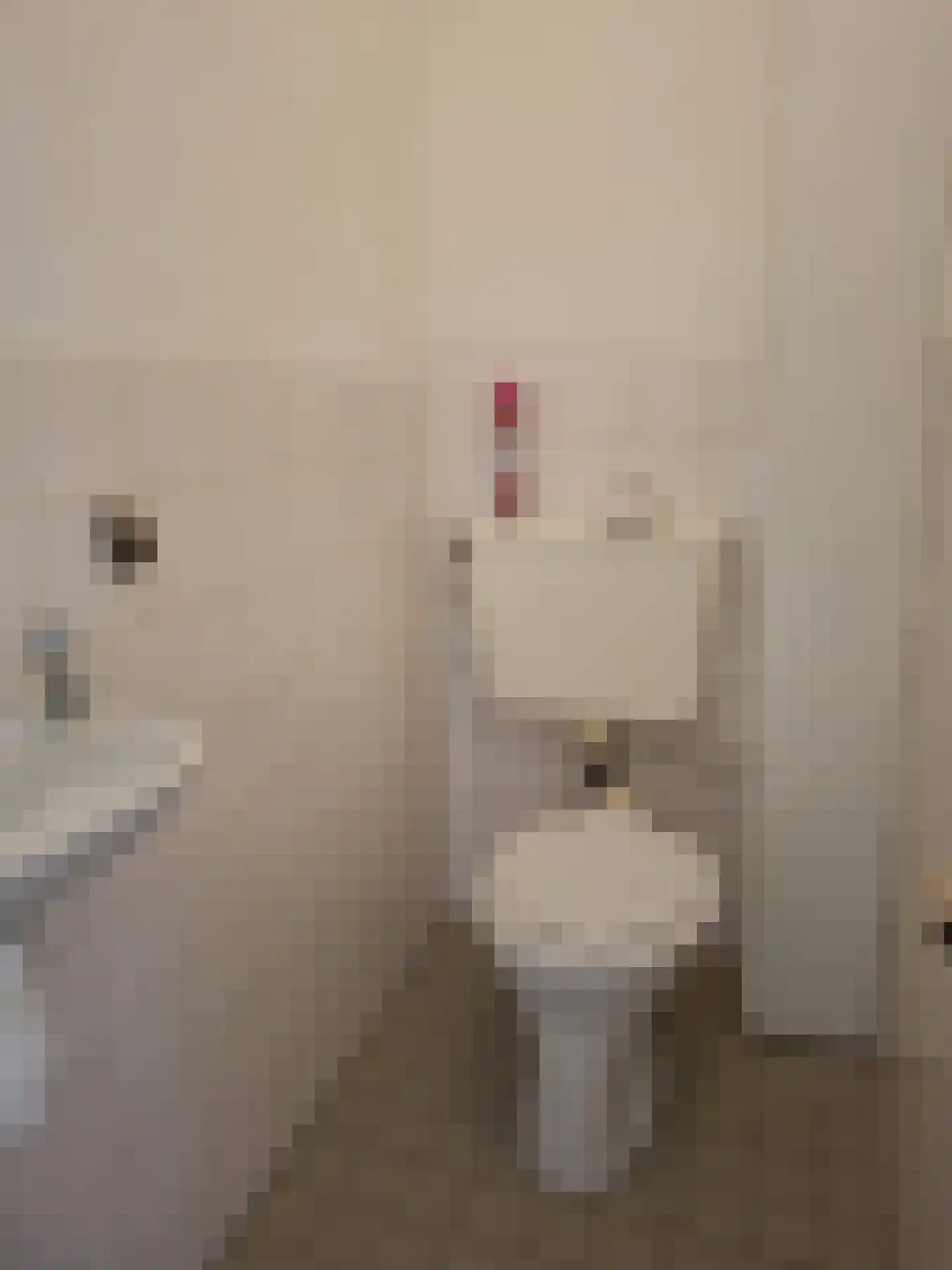 Den Hoek 21 Hekelingen thumbnail 7