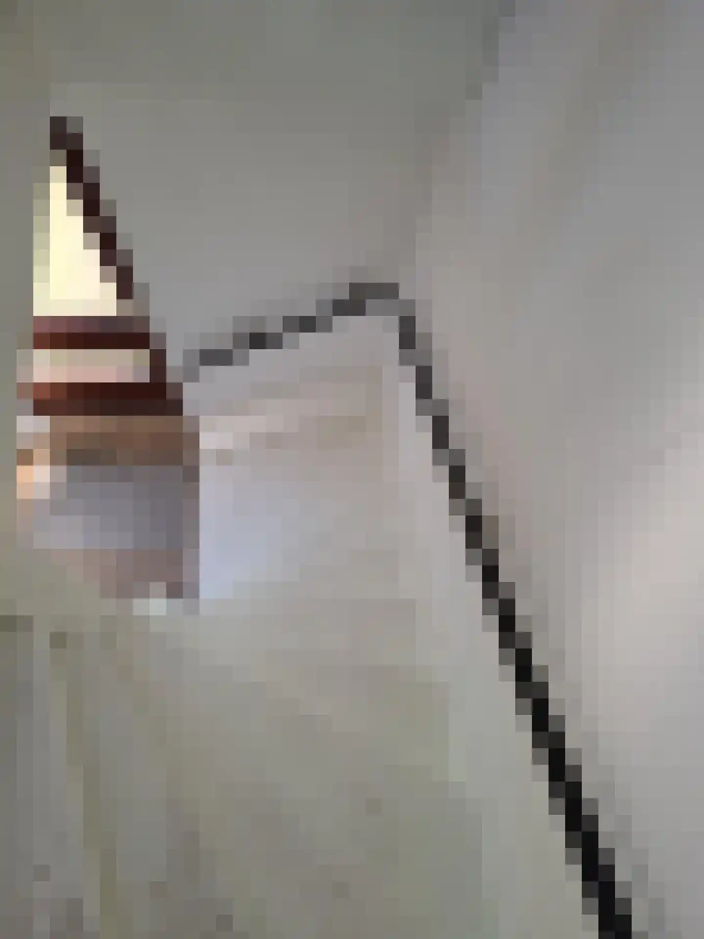 Den Hoek 21 Hekelingen thumbnail 8