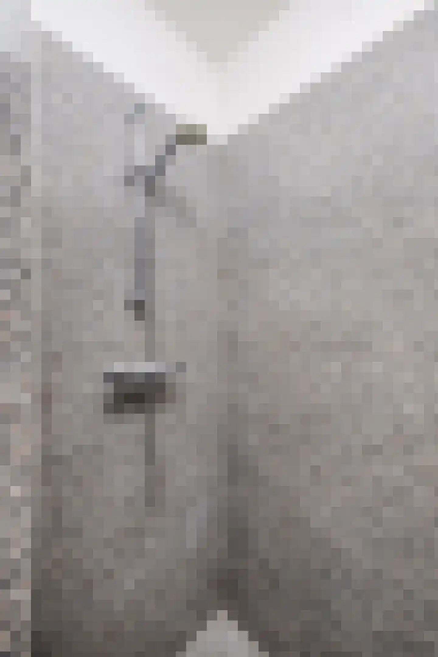 Den Hof 120 Waalre thumbnail 14