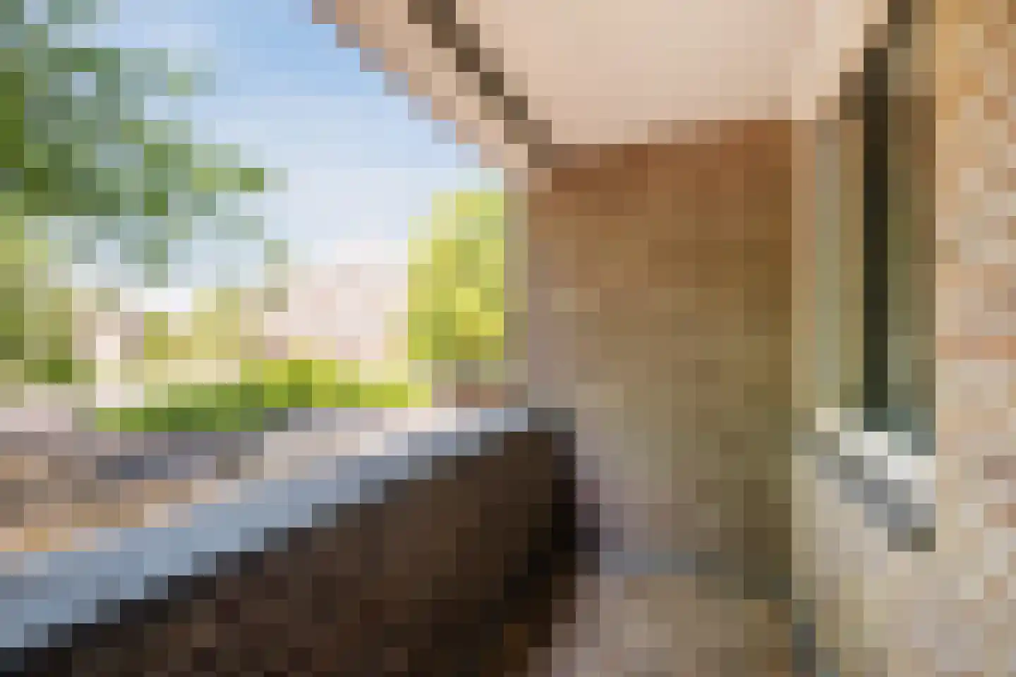Den Hof 120 Waalre thumbnail 16