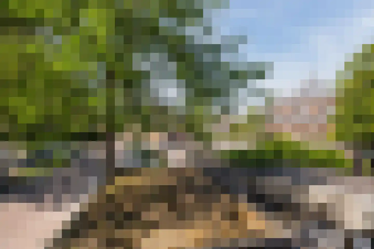 Den Hof 120 Waalre thumbnail 18