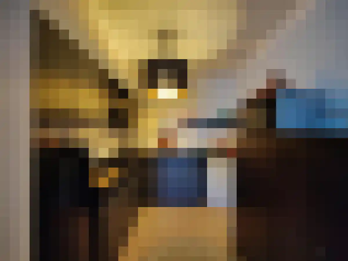 Den Hof 17 Waalre thumbnail 6